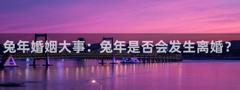 赢乐：兔年婚姻大事：兔年是否会发生离婚？
