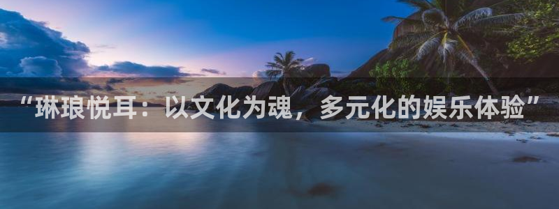 狗子28：“琳琅悦耳：以文化为魂，多元化的娱乐体验”