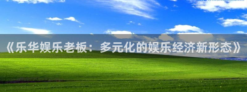 赢乐大厅官网.facca.中国：《乐华娱乐老板：多元化的娱乐经济新形态》