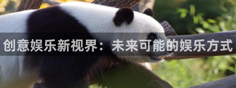 赢乐平台：创意娱乐新视界：未来可能的娱乐方式