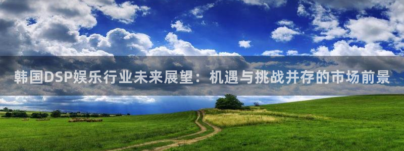 赢乐宝：韩国DSP娱乐行业未来展望：机遇与挑战并存的市场前景