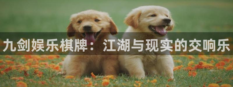 赢乐彩票官网：九剑娱乐棋牌：江湖与现实的交响乐