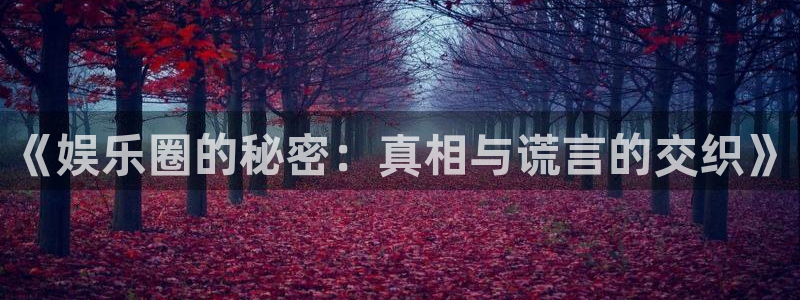 赢乐大厅官网.facca.中国：《娱乐圈的秘密：真相与谎言的交织》