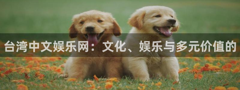 赢乐麻将：台湾中文娱乐网：文化、娱乐与多元价值的