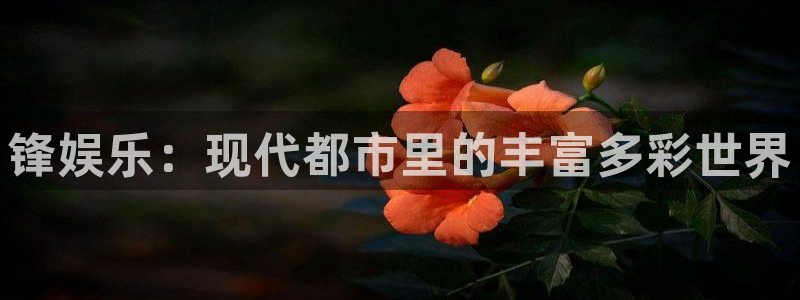 赢乐宝：锋娱乐：现代都市里的丰富多彩世界