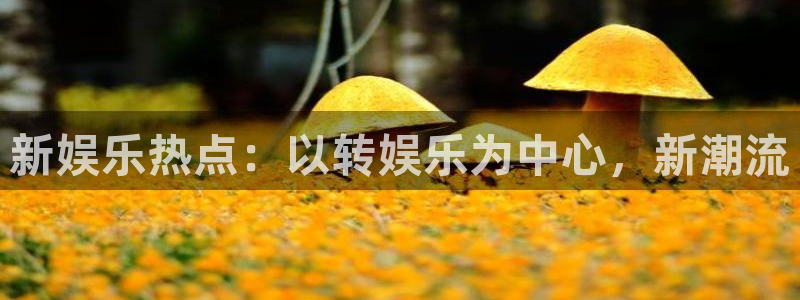 赢乐宝app下载：新娱乐热点：以转娱乐为中心，新潮流