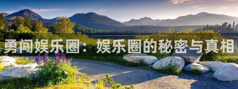 商赢乐点：勇闯娱乐圈：娱乐圈的秘密与真相