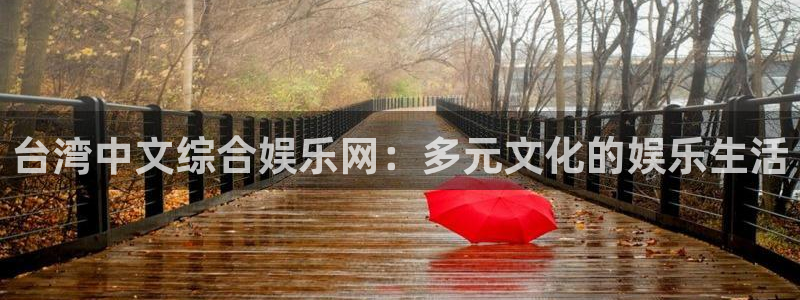 人生就是搏手机版：台湾中文综合娱乐网：多元文化的娱乐生活