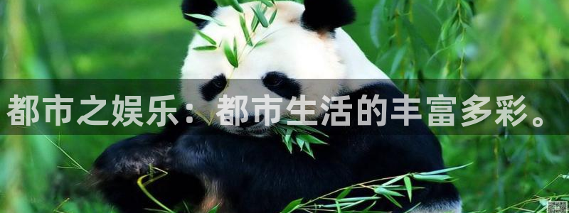 人生就是搏手机版：都市之娱乐：都市生活的丰富多彩。