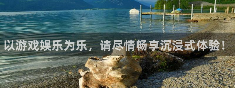 大满贯网址：以游戏娱乐为乐，请尽情畅享沉浸式体验！