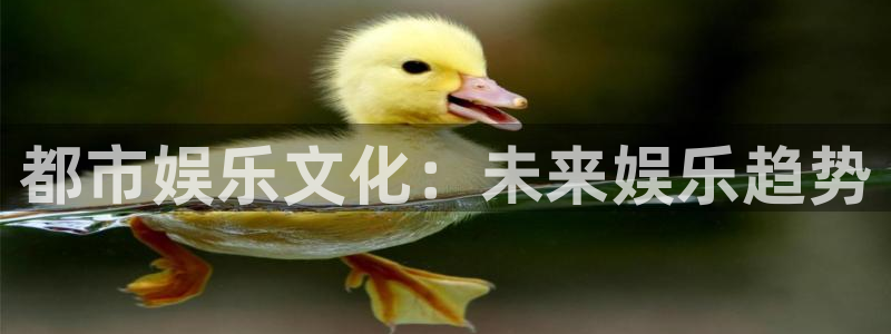 赢乐