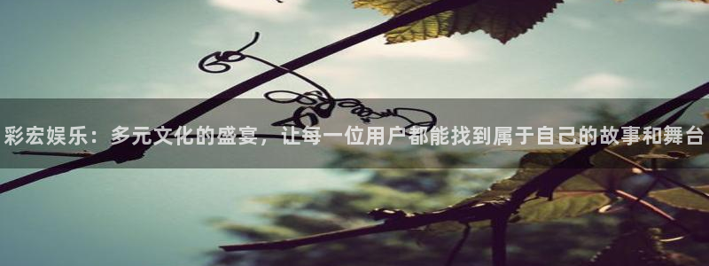 黄石华赢乐家装饰公司怎么样