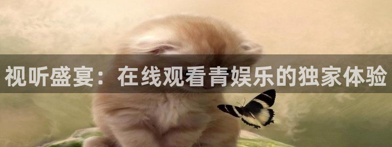 大满贯网址：视听盛宴：在线观看青娱乐的独家体验