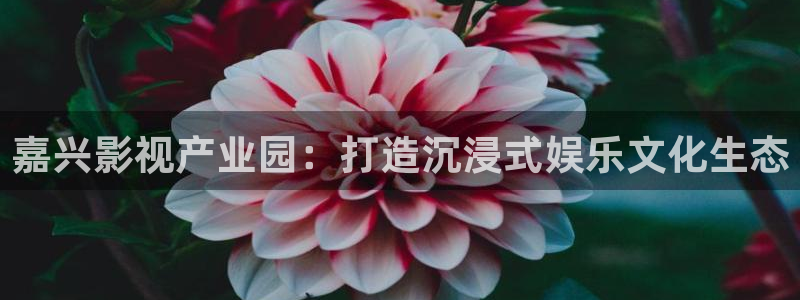 赢乐麻将