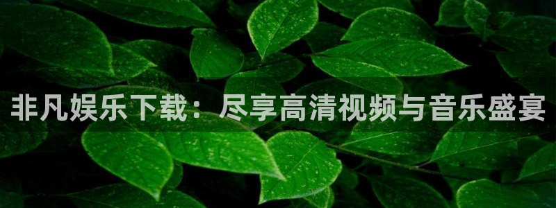 黄石华赢乐家装饰公司怎么样