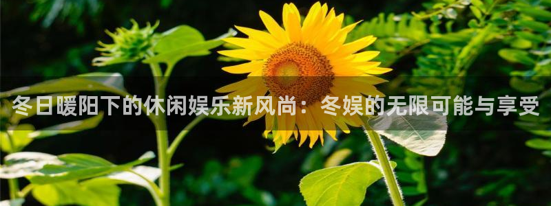 赢乐棋盘：冬日暖阳下的休闲娱乐新风尚：冬娱的无限可能与享受