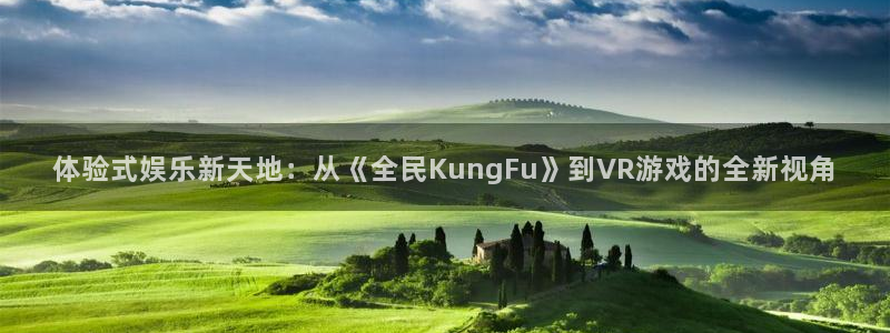 黄石华赢乐家装饰公司怎么样：体验式娱乐新天地：从《全民KungFu》到VR游戏的全新视角