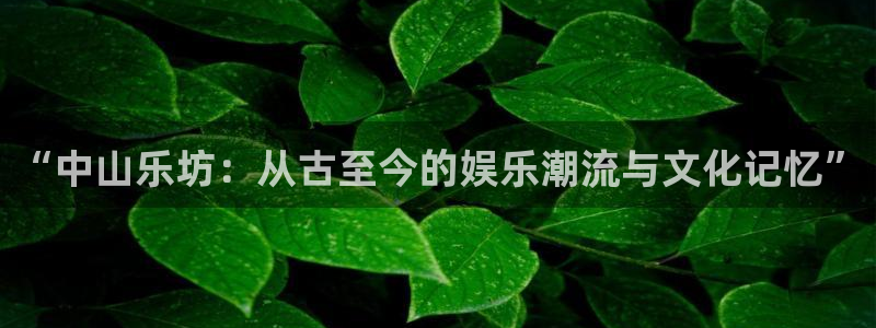 狗子28：“中山乐坊：从古至今的娱乐潮流与文化记忆”
