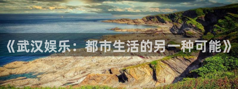 商赢乐点：《武汉娱乐：都市生活的另一种可能》