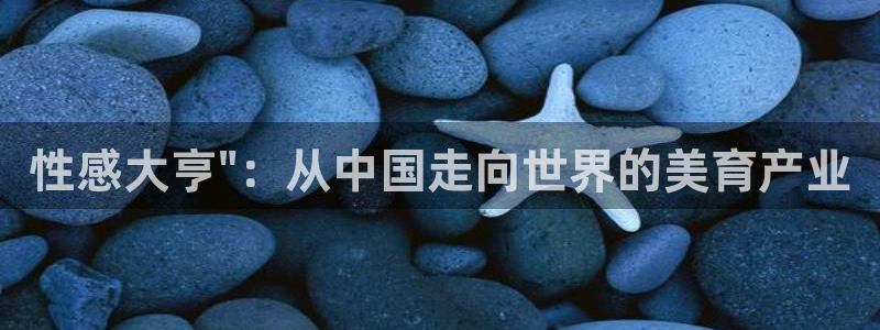 赢乐棋盘