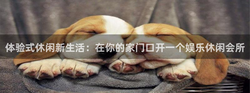 赢乐棋盘：体验式休闲新生活：在你的家门口开一个娱乐休闲会所