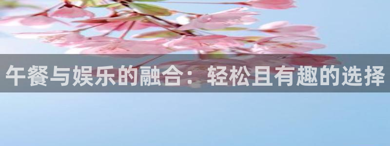 狗子28：午餐与娱乐的融合：轻松且有趣的选择