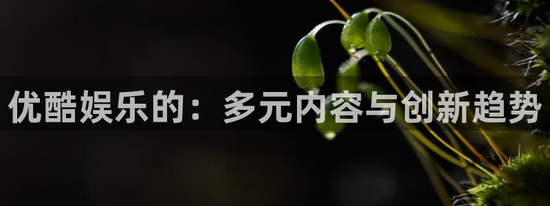 人生就是搏手机版：优酷娱乐的：多元内容与创新趋势