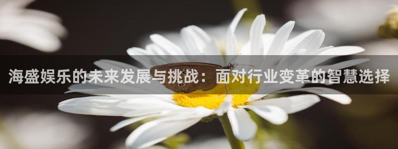 赢乐app官网下载：海盛娱乐的未来发展与挑战：面对行业变革的智慧选择