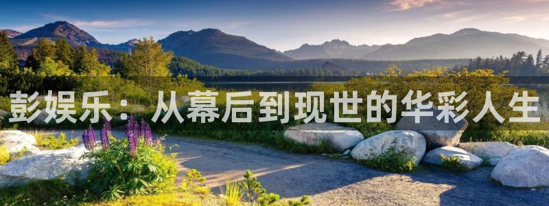人生就是搏手机版：彭娱乐：从幕后到现世的华彩人生